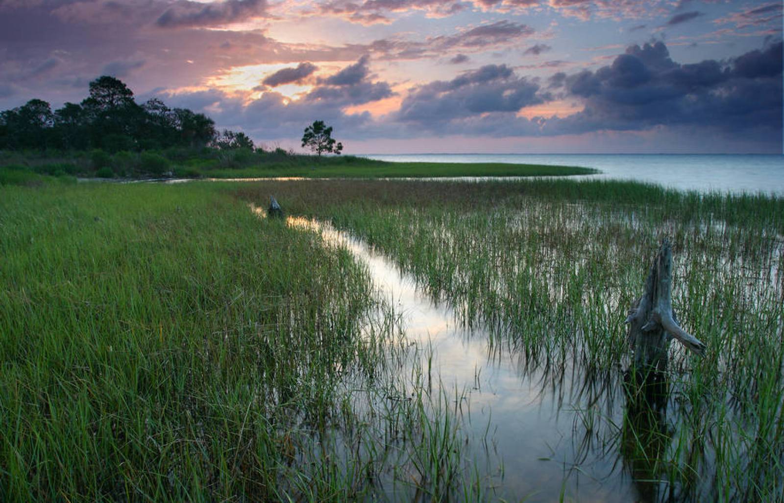 Florida Water Plan  Florida Department of Environmental Protection