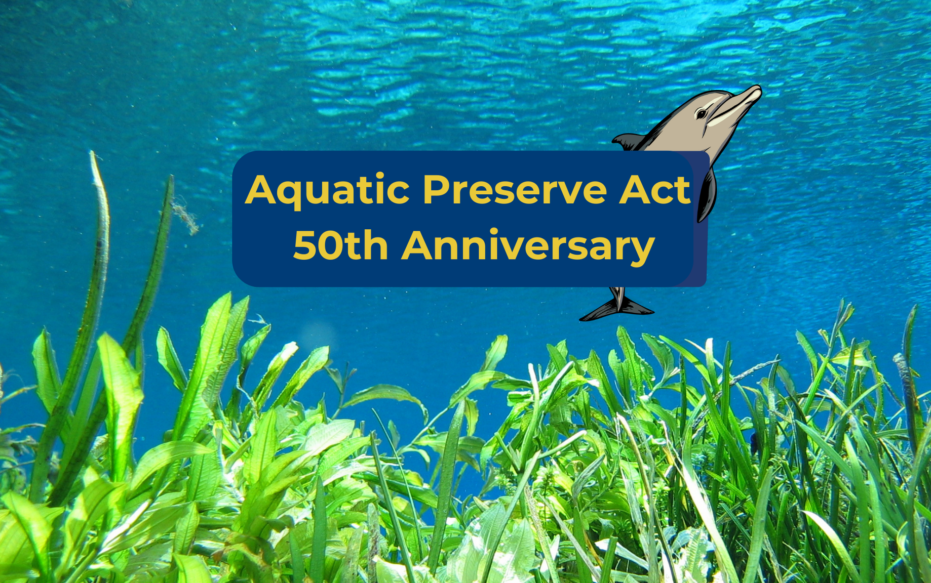 Aquatic Preserve Act 50th Anniversary title sign image with a drawn dolphin in seagrass