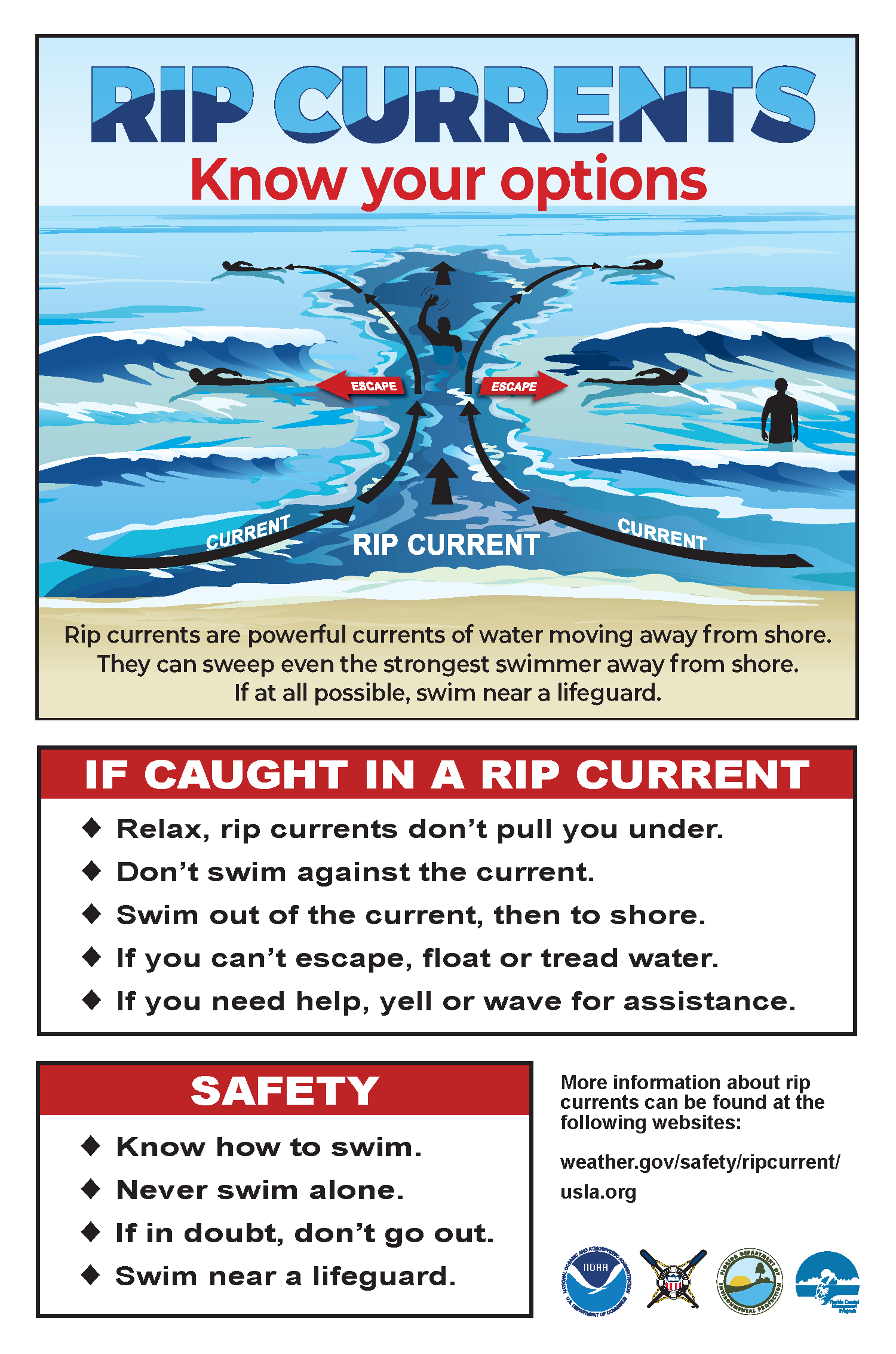 DEP-NOAA Rip Current Sticker 5x7.5