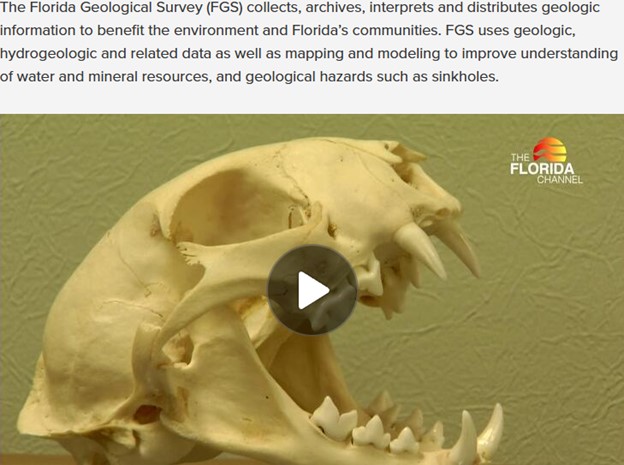 The FL geological survey (FGS) collects, archives, interprets and distributes geologic information to benefit the environment and Florida's communities.  FGS uses geologic, hydrogeologic and related data as well as mapping and modeling to improve understanding of water and mineral resources, and geological hazards such as sinkholes.  