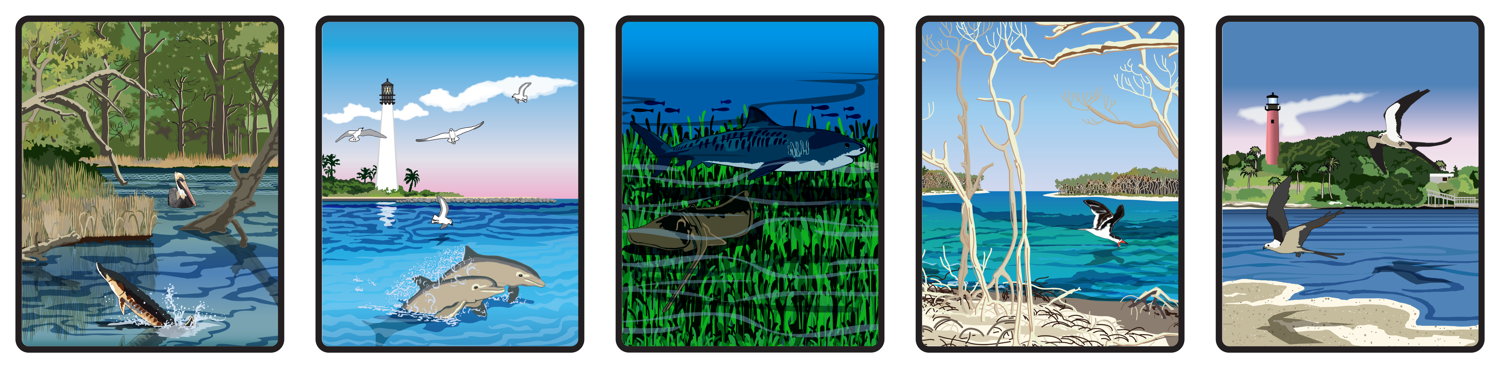 APA 50th banner image of various illustrated animals in their aquatic habitats