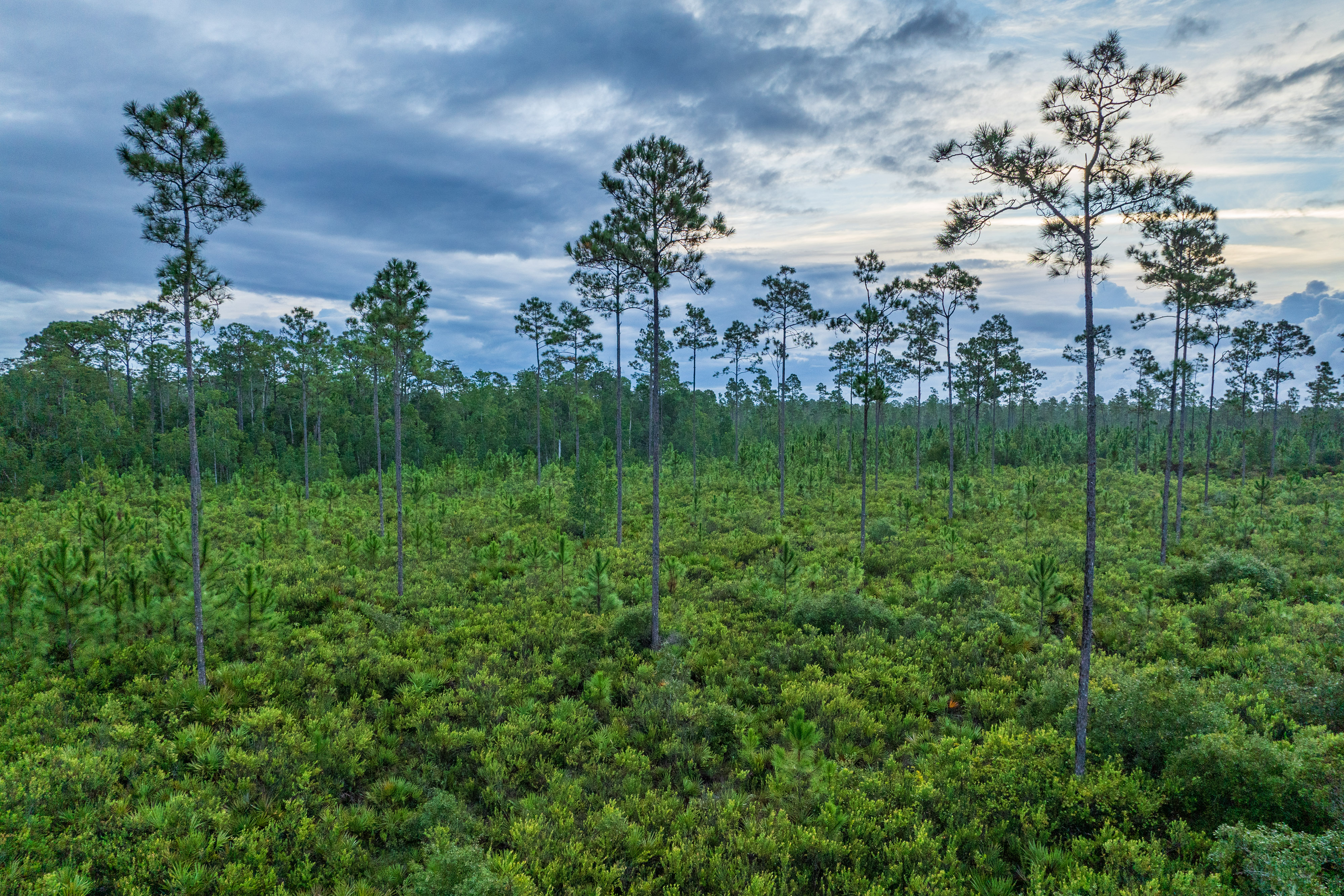 Plants, Animals, Environment photo by Lauren Yoho, Wildpath