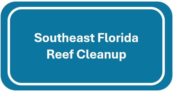 Southeast Florida Reef Cleanup