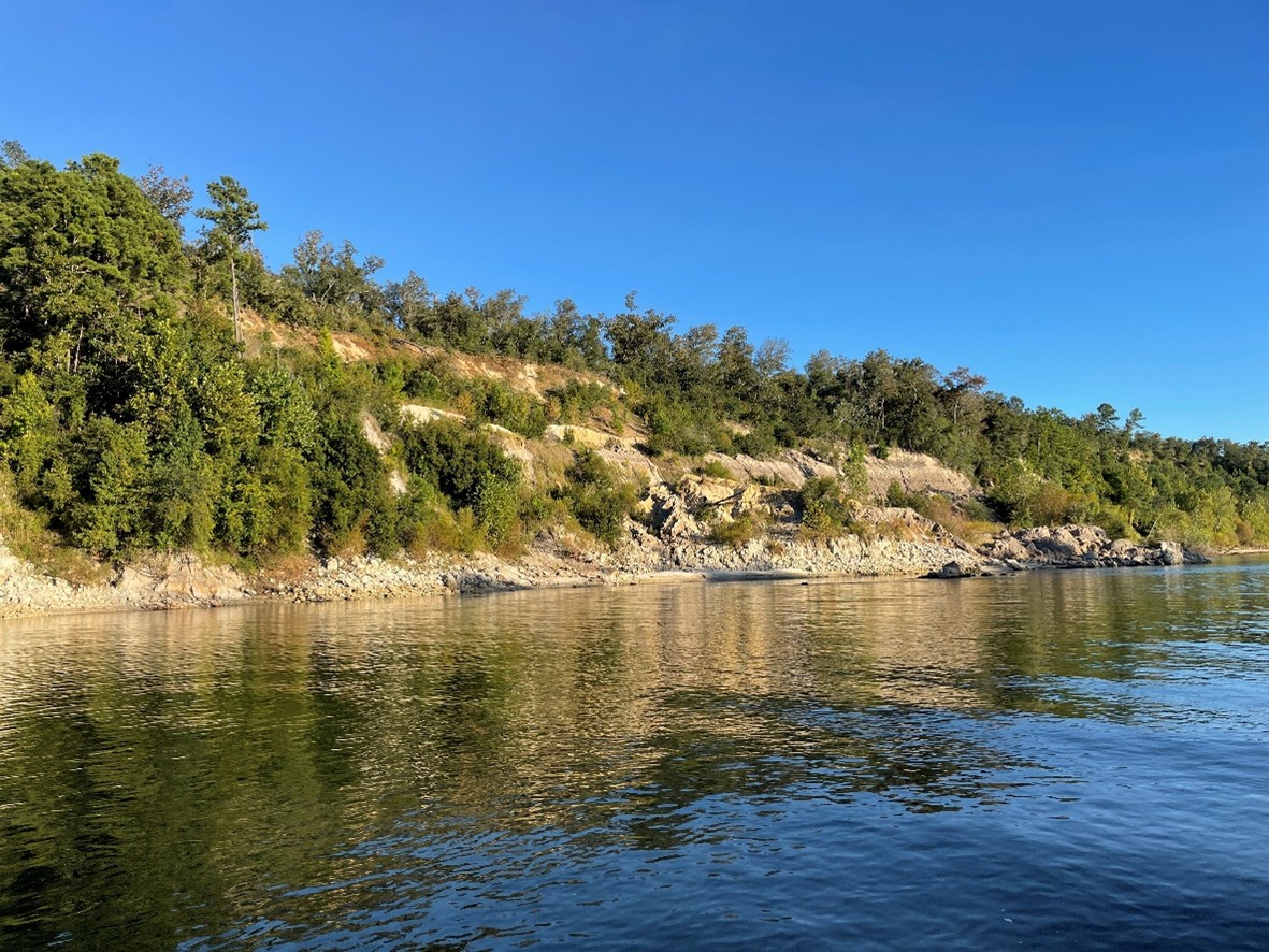 alum bluff