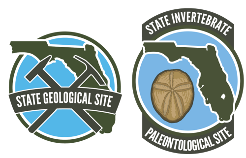 both insignia for FGS