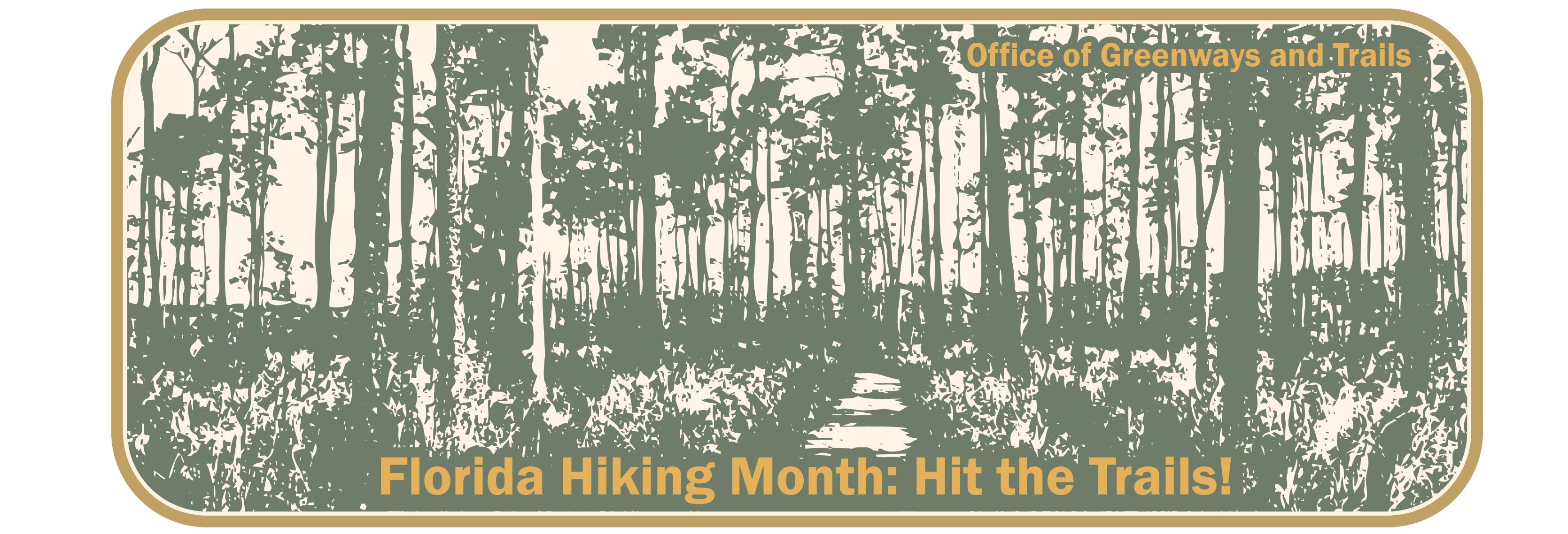 February 2026 activity month header