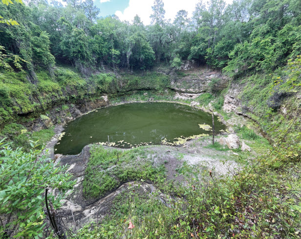 Brooks Sink Sinkhole