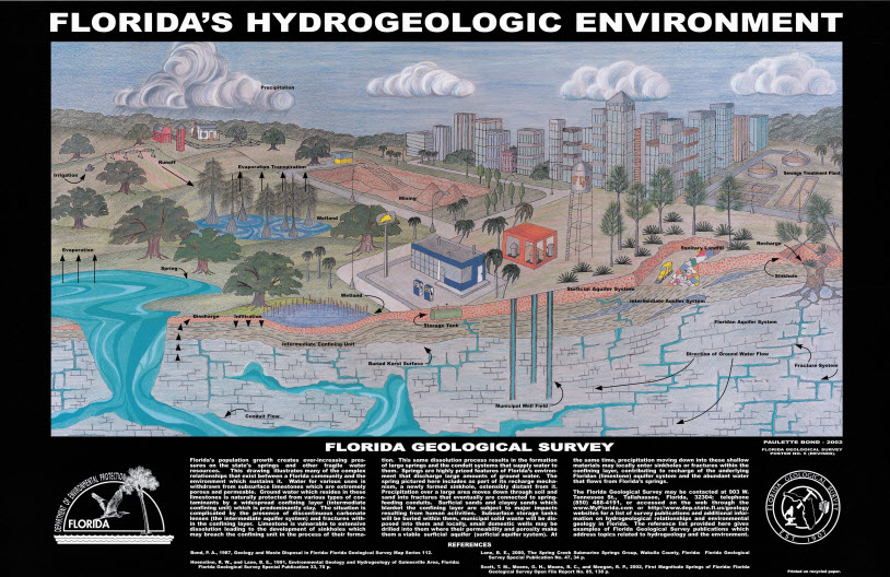 Florida's Hydrogeologic Environment