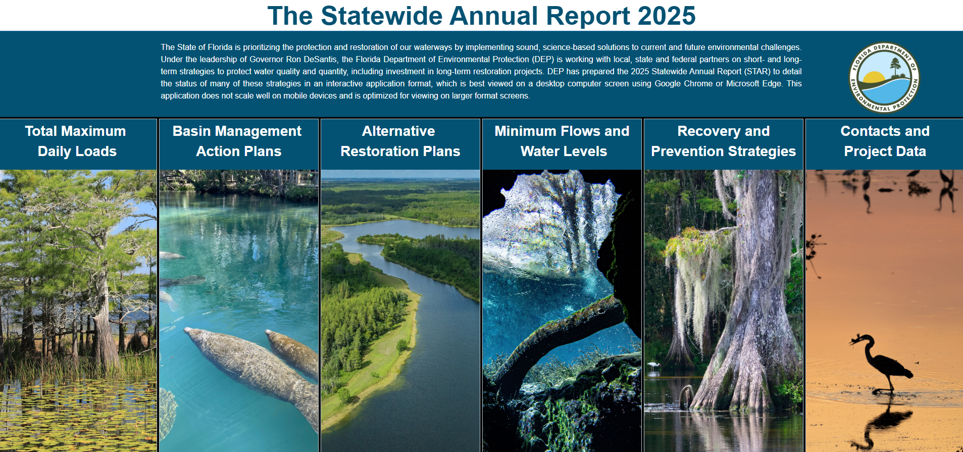 Screen Capture of the 2025 STAR Report