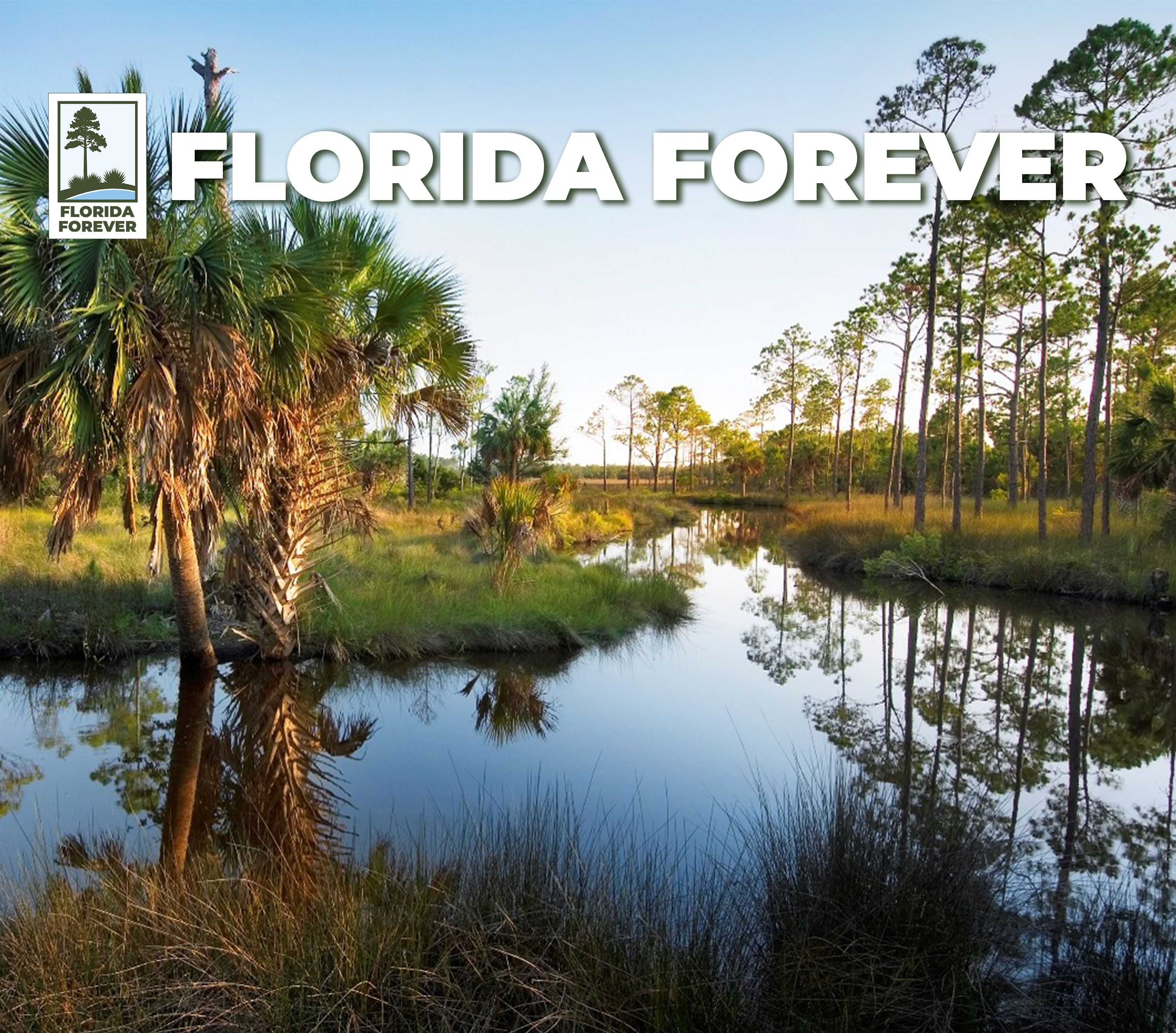 Florida Forever image with vertical logo