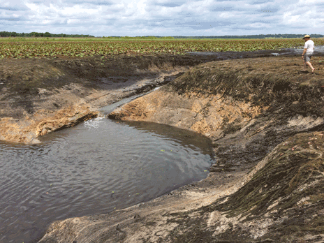 Rapidly draining water in Porter Hole Sink becomes apparent in Lake Jackson during the morning of June 6, 2021