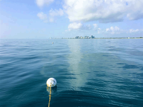 Mooring buoy with line attached to a vessel 