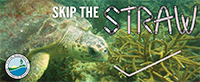 Skip the Straw Social Media thumbnail 3