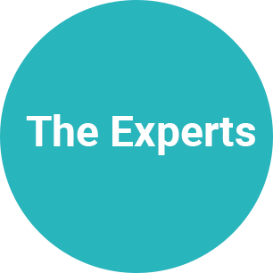 The Experts