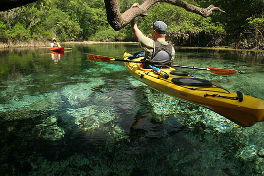 Paddlers along the Ichetucknee River by Doug Alderson