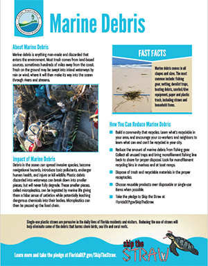 marine debris