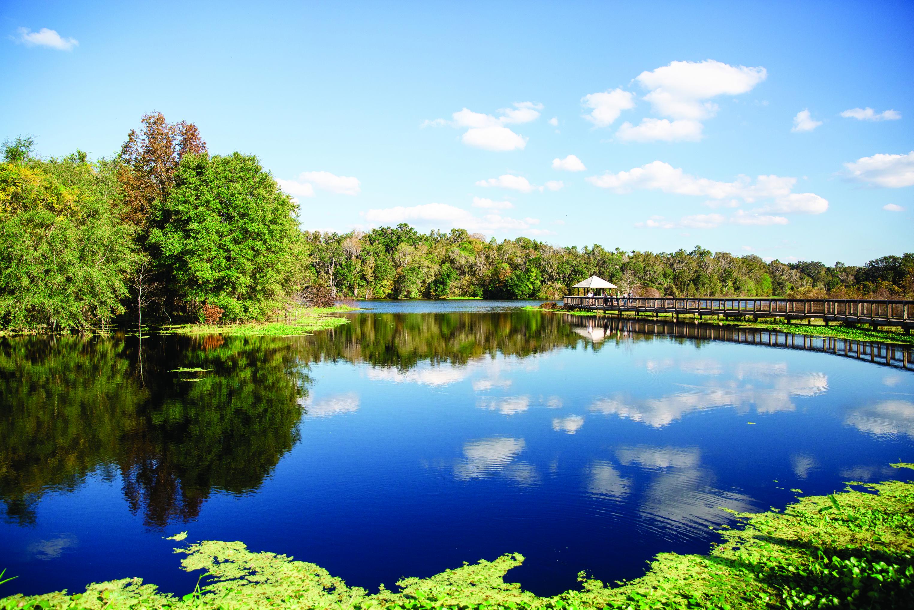  Alachua Sink at Paynes Prairie Preserve State Park