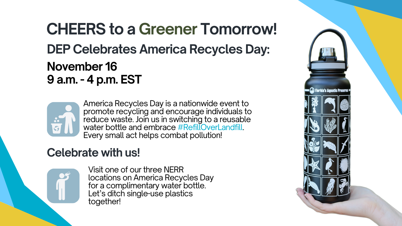 DEP Celebrates America Recycles Day banner image