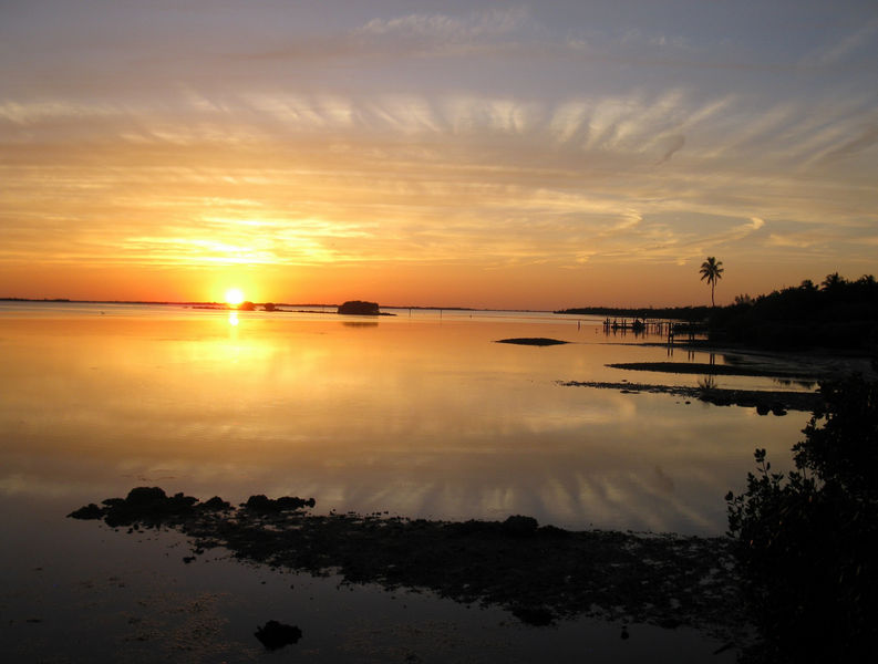 A view of a sunset at Pine Island Sound Aquatic Preserve