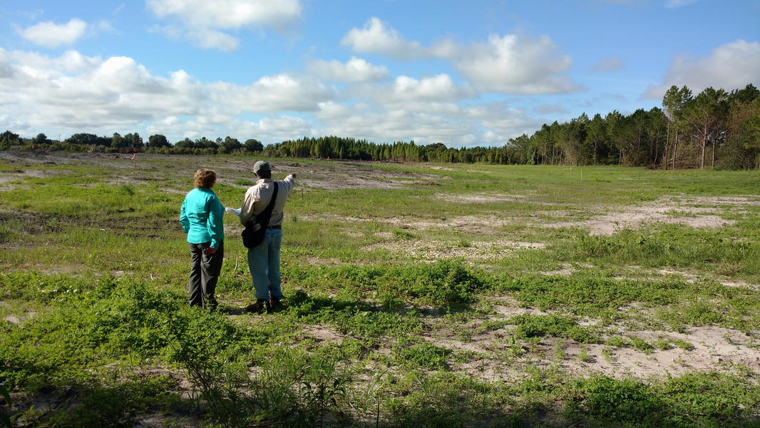 FDEP staff reviewing the progress of the Chicora restoration project designed to create wetland habitat and improve water quality in the Alafia River Basin