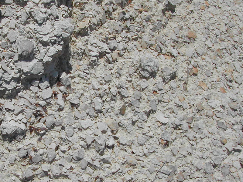 Marianna Limestone at Brooks Quarry, Jackson County
