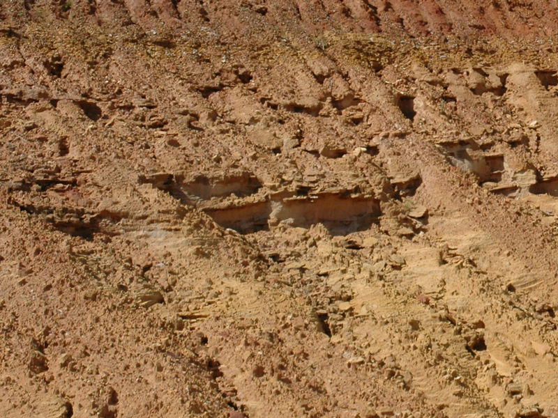 Miccosukee Formation at BASF Pit, Gadsden County