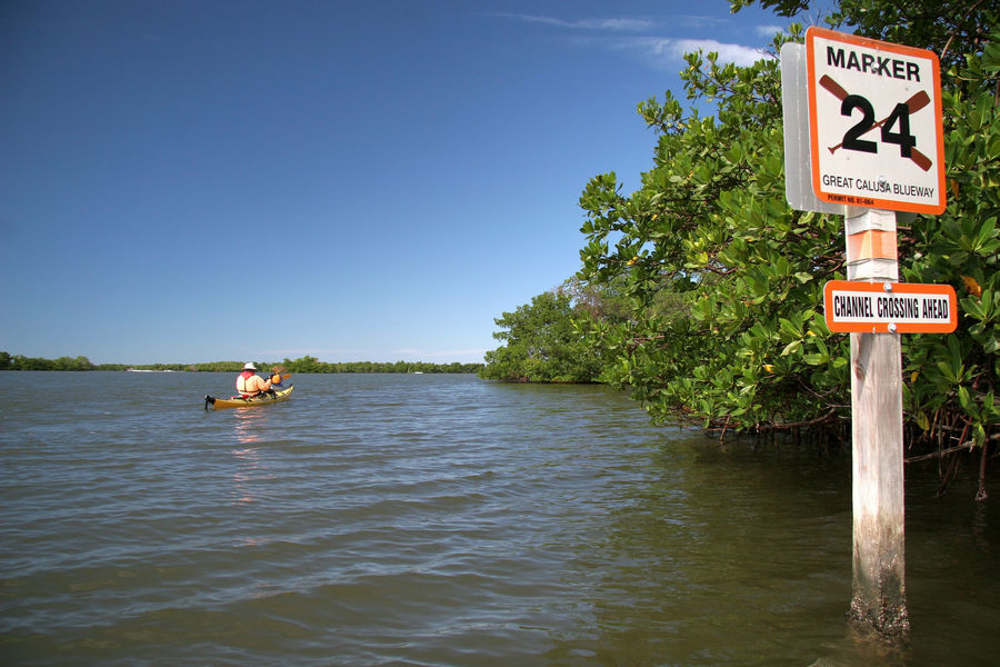 Paddling near the shore on the Calusa Blueway