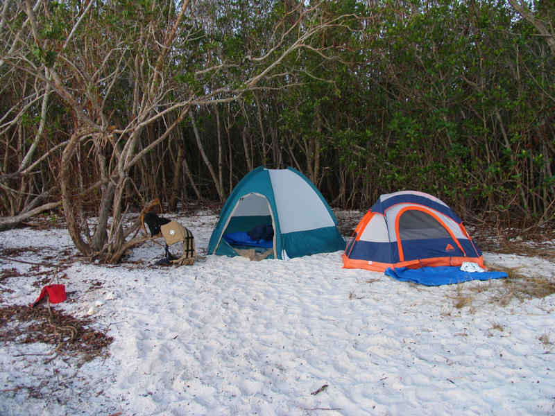 Two tents on the sand at a campsite on Rabbit Key Ten Thousand Islands