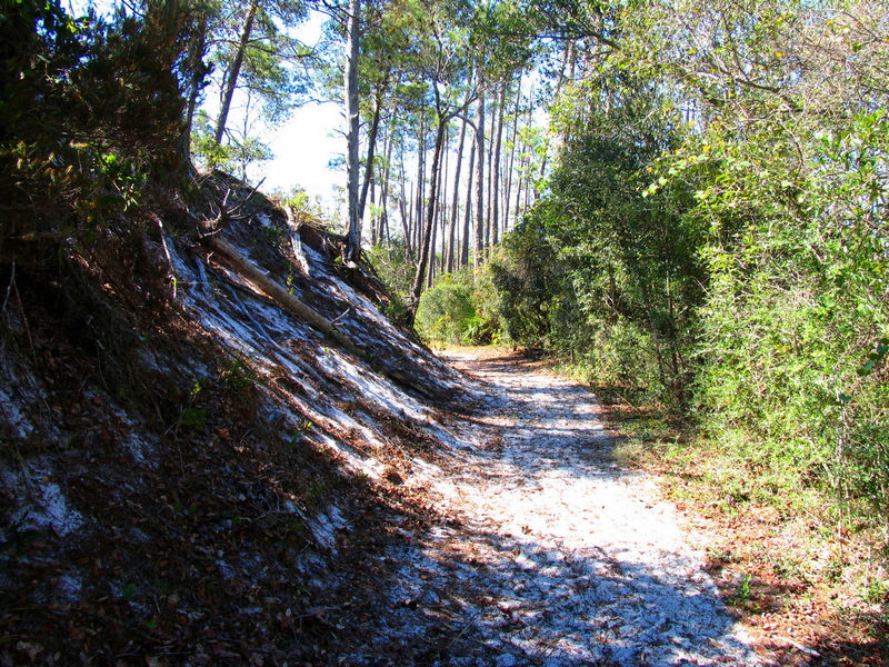 A shady trail at Topsail Hill Preserve State Park