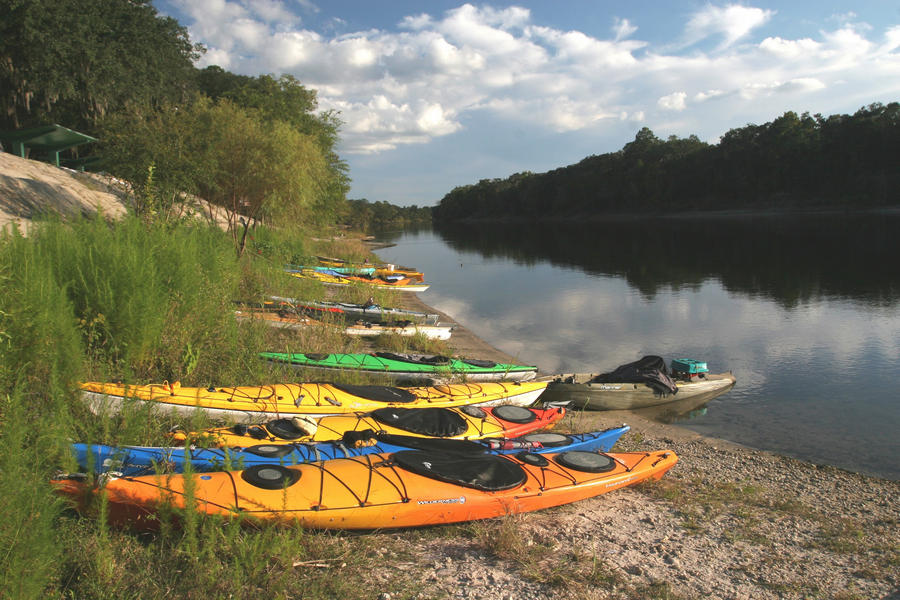 A row of kayaks along the bank of the Suwannee River near Branford, Florida