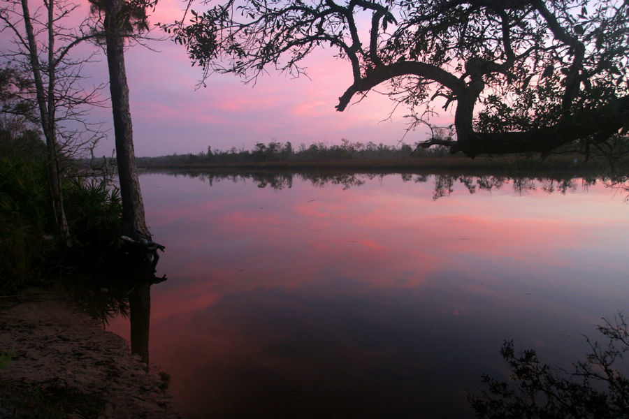 Sunrise with pink and purple coors on the lower Ochlockonee River