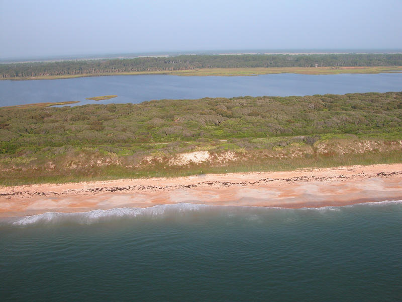 An aerial view of the dunes bordering the Guana River Salt Marsh.