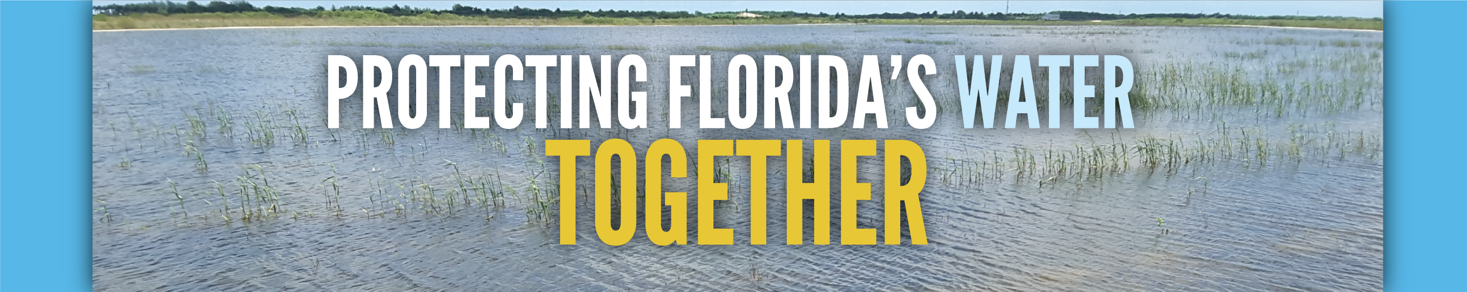 Protecting Florida's Water Together