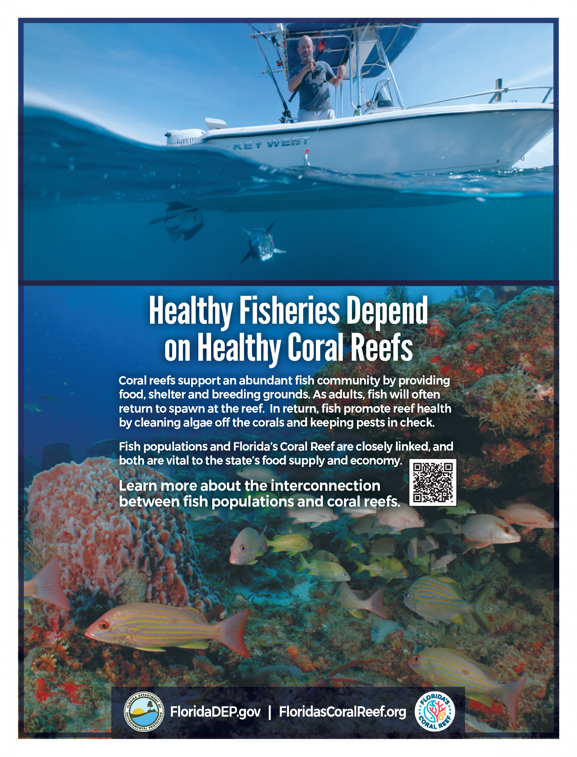 ad showing boater fishing and coral reef under the water beneath the boat
