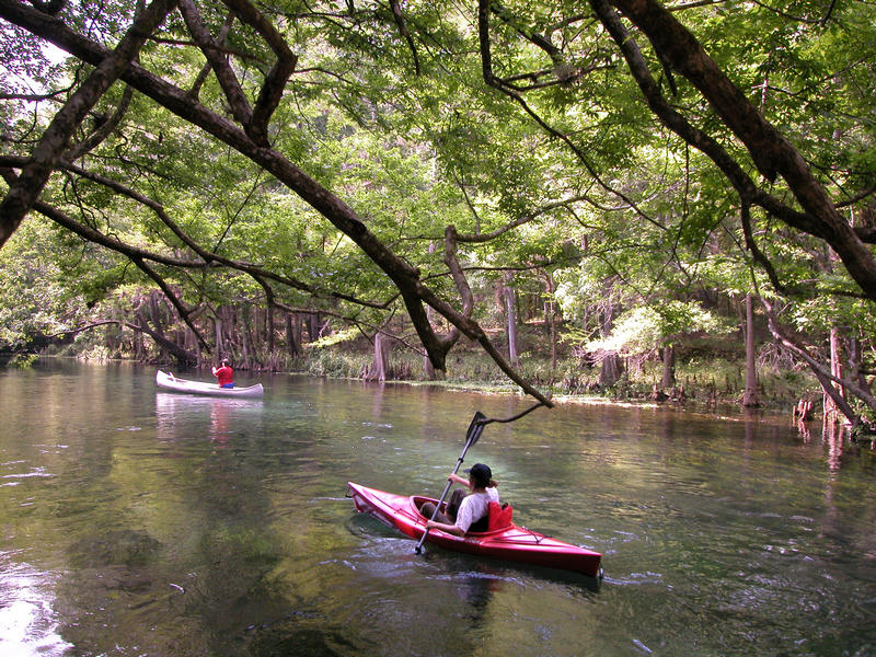 A man in a red kayak going down the river at Ichetucknee Springs State Park