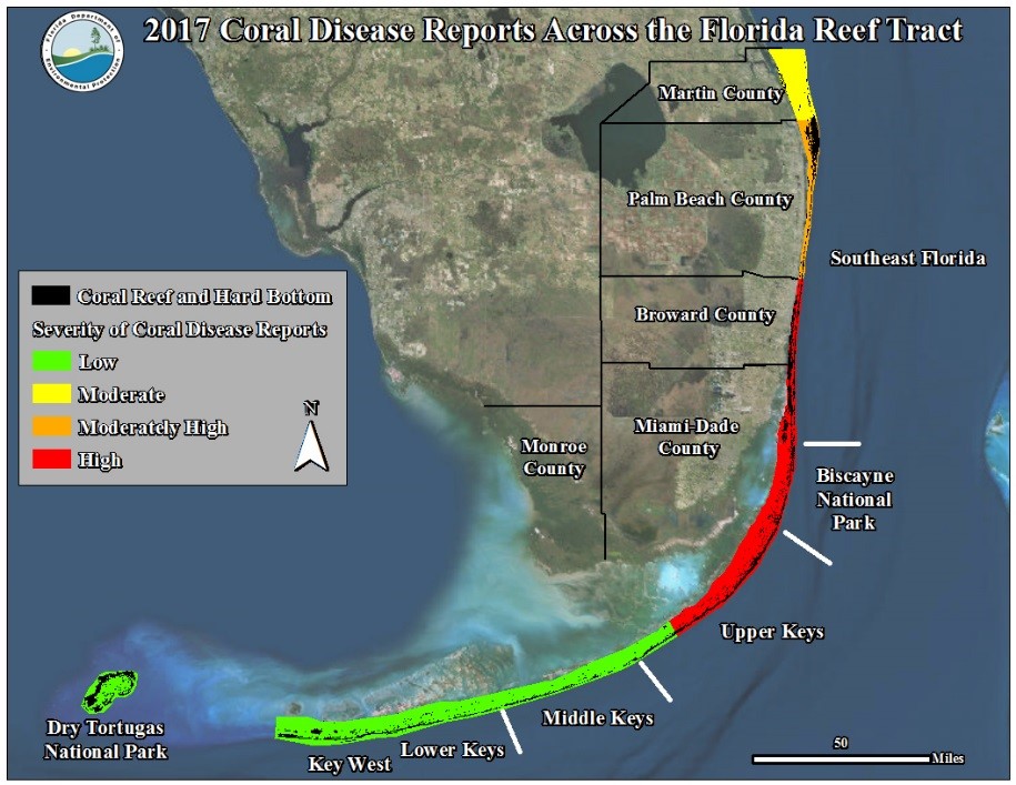 A 2017 map of southern Florida showing the current state of coral disease ranging from low to high.