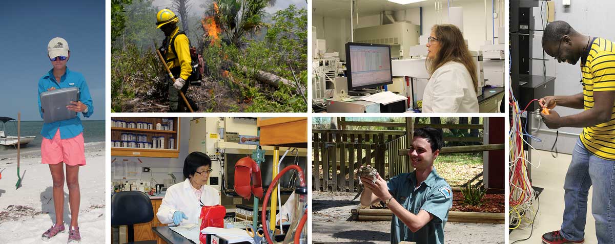 A collage of photos showing different career opportunities within the Florida Department of Environmental Protection