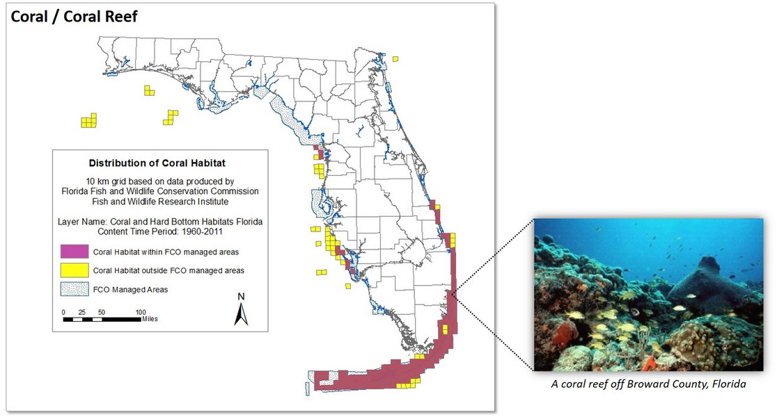 Map of the state of Florida which illustrates coral habitats within as well as outside the Florida Coastal Office managed areas.