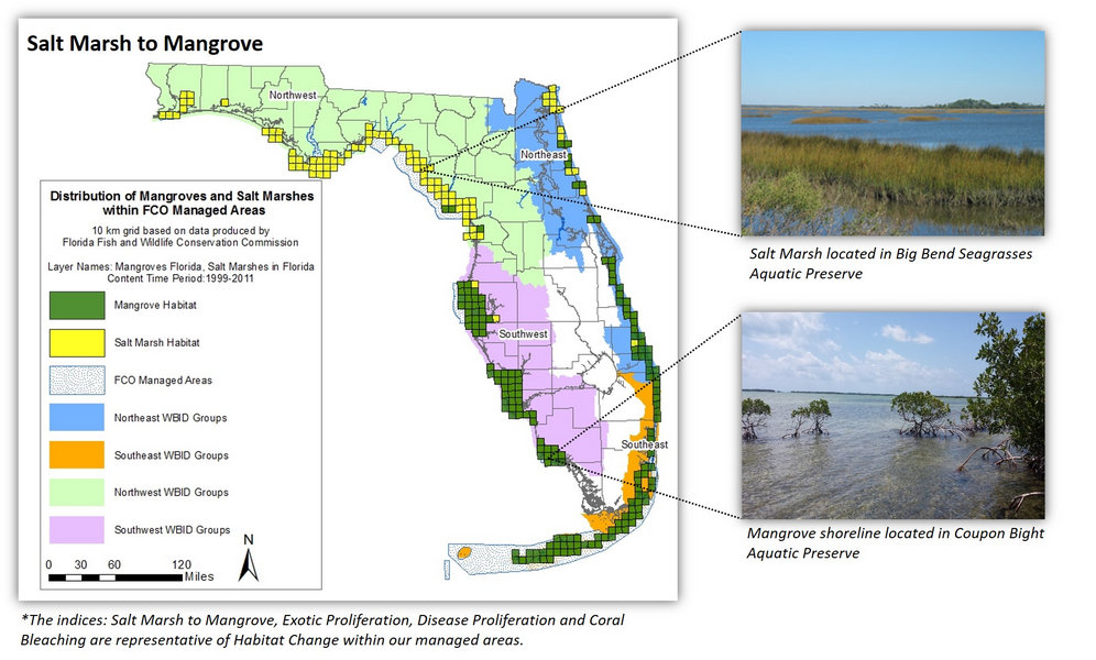 Map of the distribution of salt marshes and mangroves within Florida Coastal Office managed areas inserted with a picture of a salt marsh and mangroves from the Big Bend Seagrasses and Coupon Bight Aquatic Preserves