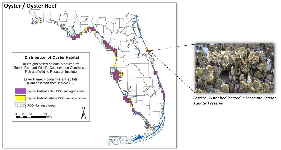 Map of the state of Florida which illustrates oyster habitats within as well as outside the Florida Coastal Office managed areas.