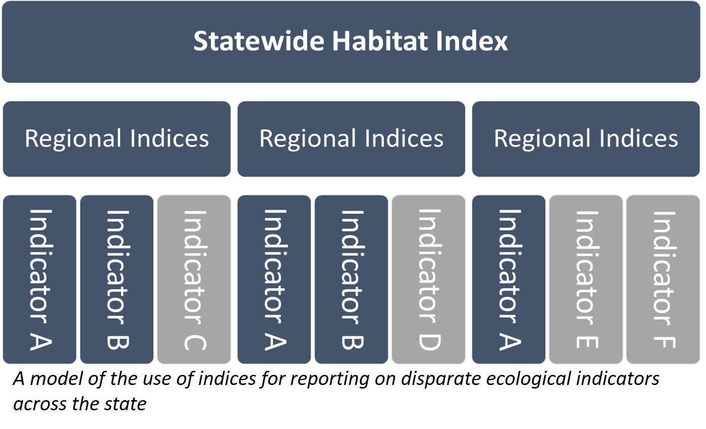 A model of the use of indices for reporting on disparate ecological indicators across the state