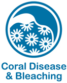 Blue and white web button for coral disease and bleaching
