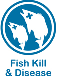 Blue and white web button for fish kill and disease