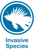 Blue and white web button for invasive species