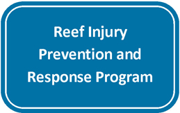 Blue and white web button for reef injury prevention and response program