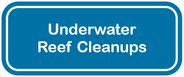 Blue and white web button for underwater reefs cleanups
