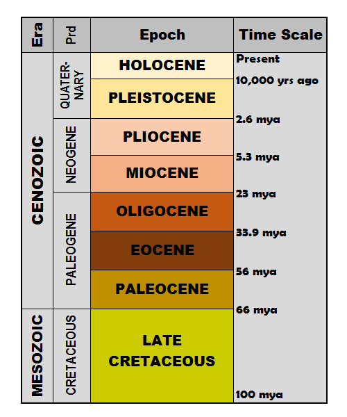 Florida Geological Survey Cenozoic Time Scale 2012