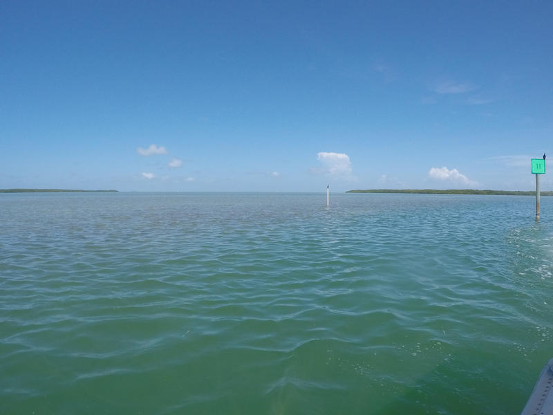 Looking at the ocean and barrier islands from Lignumvitae Key Aquatic Preserve