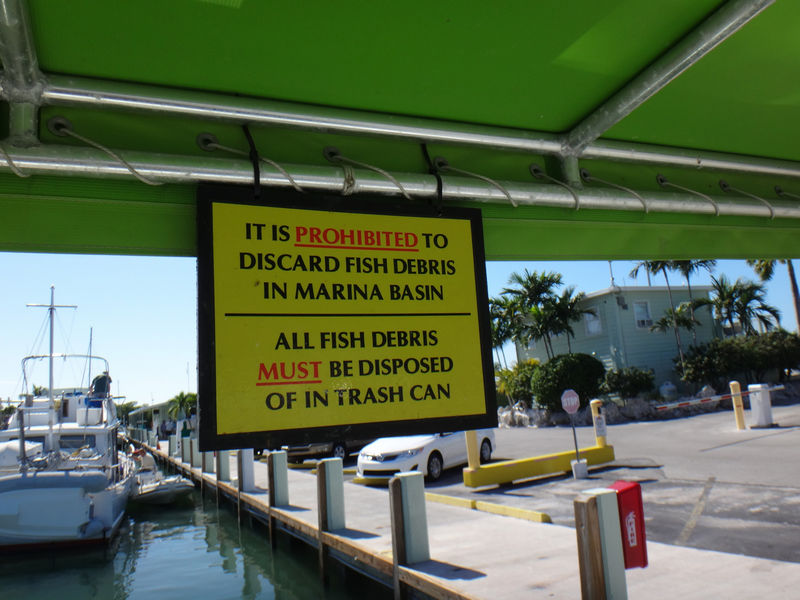 Discarding fish debris is prohibited signage at Marathon Marina & Boatyard