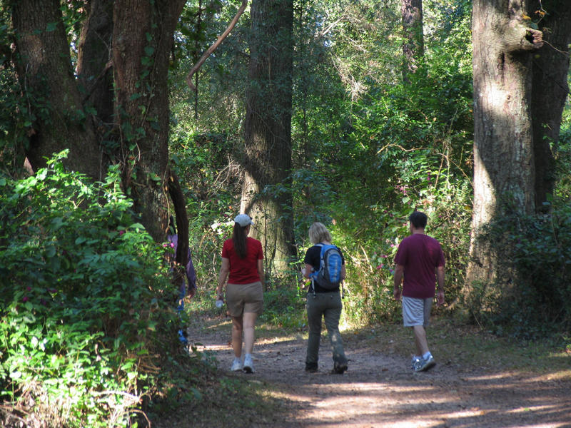 Four hikers walking on a trail at Micosukee Canopy Road Greenway